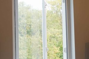 DSC04309-768x1151